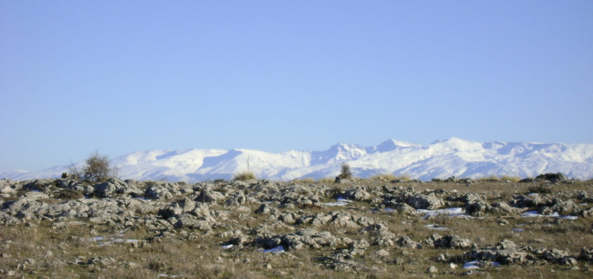 Sierra Nevada asoma