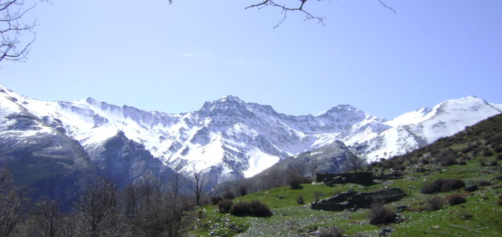 El Cortijo del Hornillo, Mulhacén y Alcazaba al fondo