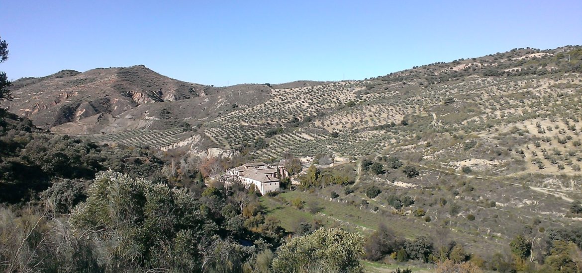 JesÃºs del Valle